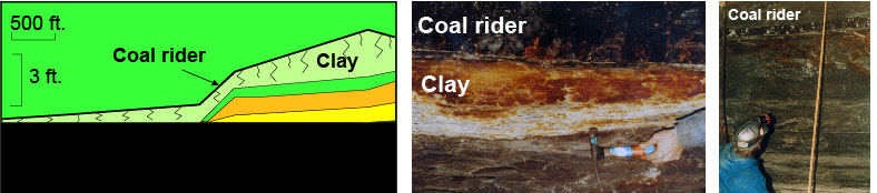 نمونه ای از زغال سوار که از بالای زغال سنگ پوند کریک شکافته شده است.  در برخی مناطق، سنگ‌های رسی ریشه‌دار در پشت بام قرار دارند، اما زغال‌سنگ به صورت جانبی از ارتفاع بالا می‌آید و سنگ‌های رسی به داخل سقف بالا می‌رود.
