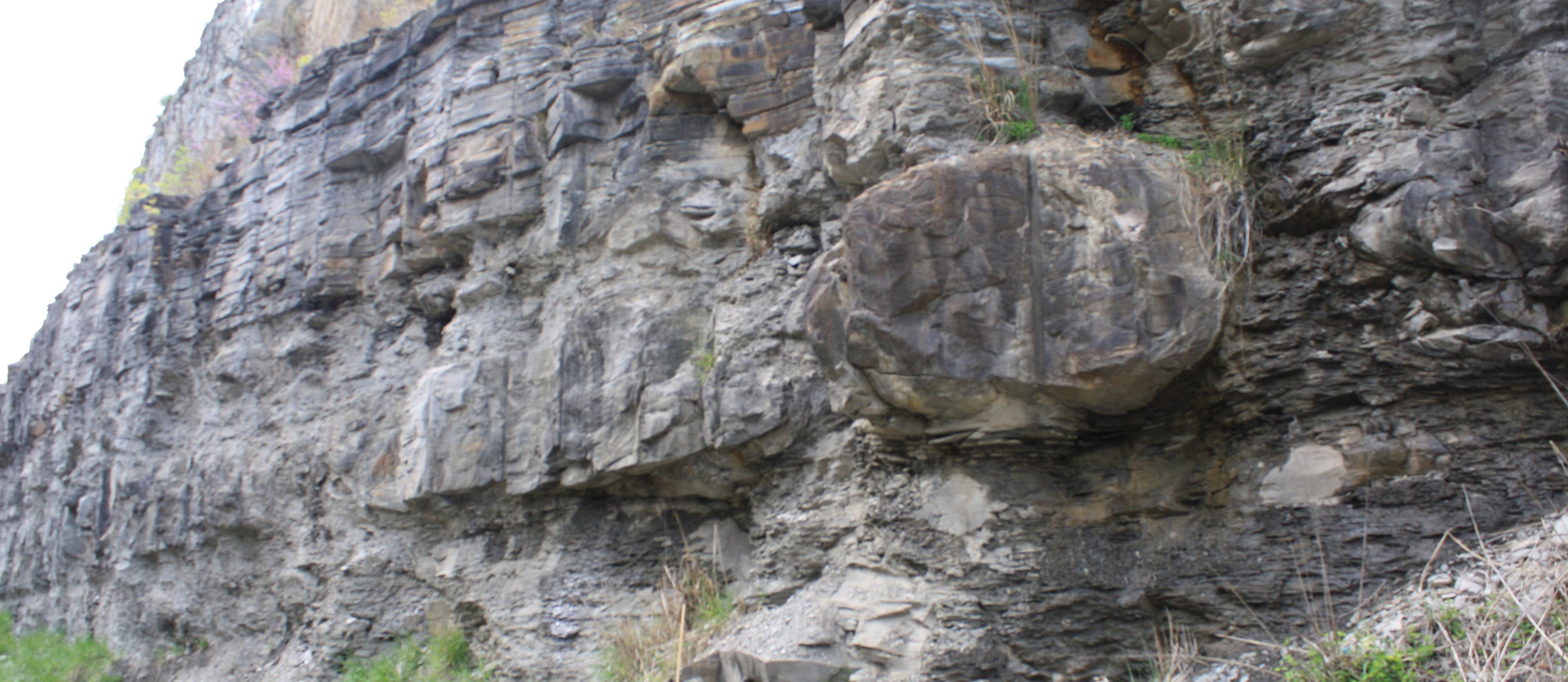 بتن ریزی های سنگ آهک بزرگ در شیل های تیره رایج هستند، مانند این مثال از عضو شیل ماگوفین، سازند چهار گوشه در شرق کنتاکی.