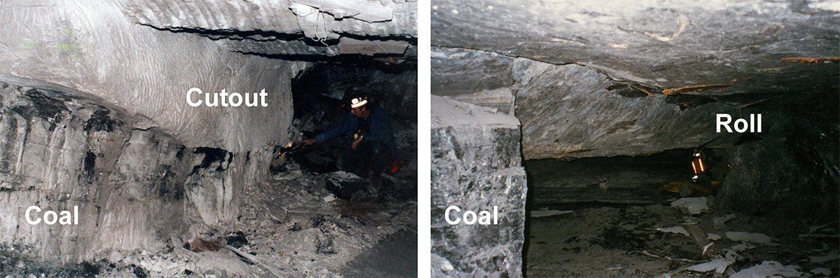 برش ها و رول های سقف.  بریدگی جایی است که سنگ سقف کل بستر زغال سنگ را کوتاه می کند و رول سقف جایی است که سنگ سقف بدون از دست دادن ارتفاع درز به بالای زغال سنگ بریده می شود.  هر دو نمونه از بستر زغال سنگ Pond Creek (Elkhorn پایین) در شرق کنتاکی هستند.