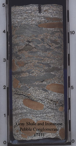 Gray Shale and Ironstone Pebble Conglomerate 741
