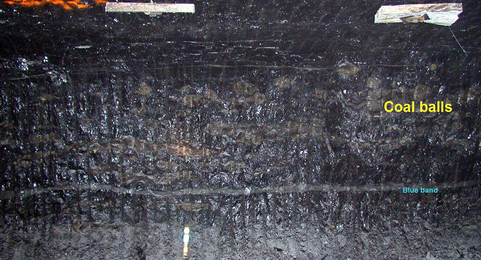 گلوله های کوچک زغال سنگ در بستر زغال سنگ هرین در یک معدن زیرزمینی متمرکز شده اند.  توپ‌های زغال‌سنگ رنگ قهوه‌ای مایل به قرمز دارند و به‌طور محلی «سنگ قرمز» نامیده می‌شوند.  نوار آبی یک جدایی منطقه ای در زغال سنگ است.  عکس از جان پاپ.