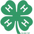 4H