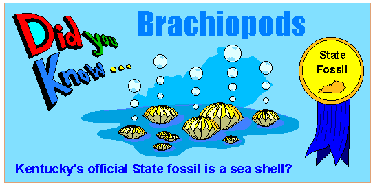 entucky's State Fossil: Brachiopods