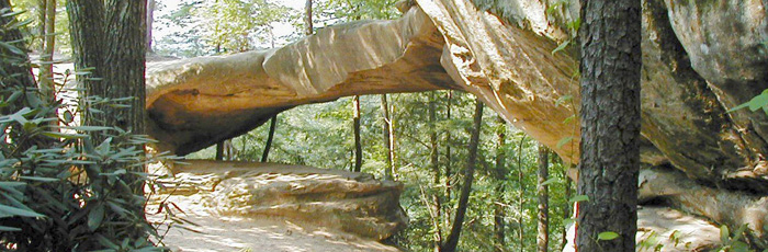 Red River Gorge, Daniel Boone National Forest