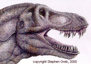 HOW TO DRAW AND COLOR ONE OF THE LARGEST AND STRONGEST DINOSAURS: TIRANOSSAURO  REX 