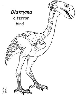 Terror Bird Coloring Pages Coloring Coloring Pages