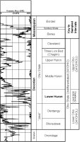 Devonian Shale type log and nomenclature used in this report