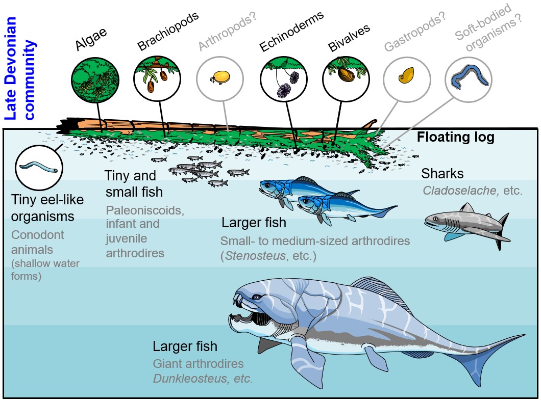 Diagram

Description automatically generated