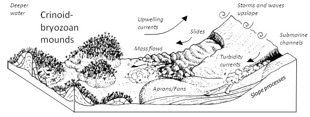 Stratigraphic relationships of the Fort Payne and Borden Formations in south-central Kentucky. Formations are colored to highlight mapped units (from Greb and others, 2008).
