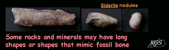 Siderite nodules. Some rocks and minerals may have long shapes or shapes that mimic fossil bone. 