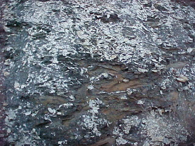 Black shale outcrops and pyrite-heaving sulfates, Madison and Estill Counties