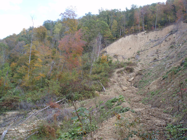Large landslide in Perry County, eastern Kentucky, 2006.