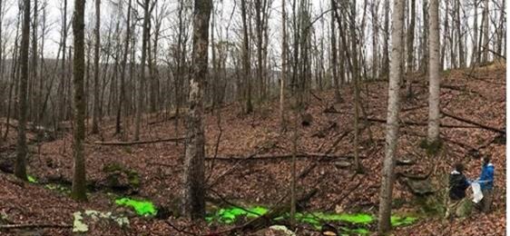 KGS researchers performing a dye trace study in the field.