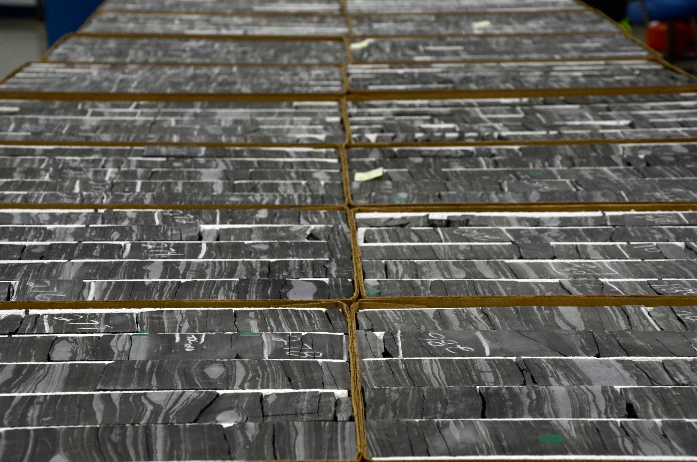 A newly accessioned core at the EARL from Lawrence County, KY.