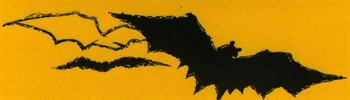 NSS bat conservation logo