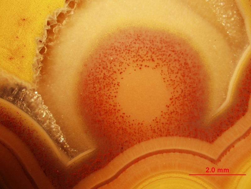 Microscopic photographs of Kentucky agates 