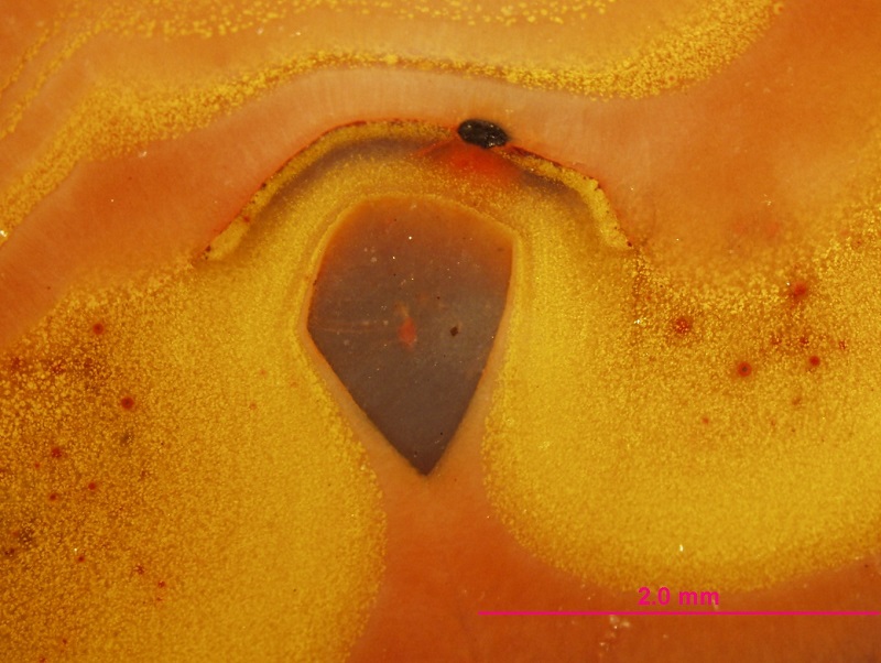Microscopic photographs of Kentucky agates 