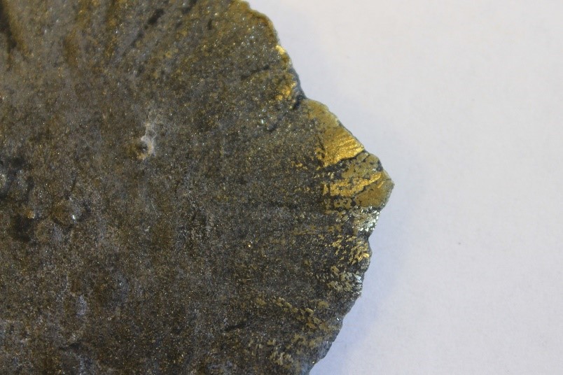 Pyrite dollar specimens from the KGS collection