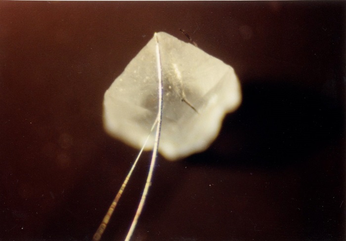 A calcite rhombohedron attached to a millerite acicular crystal.