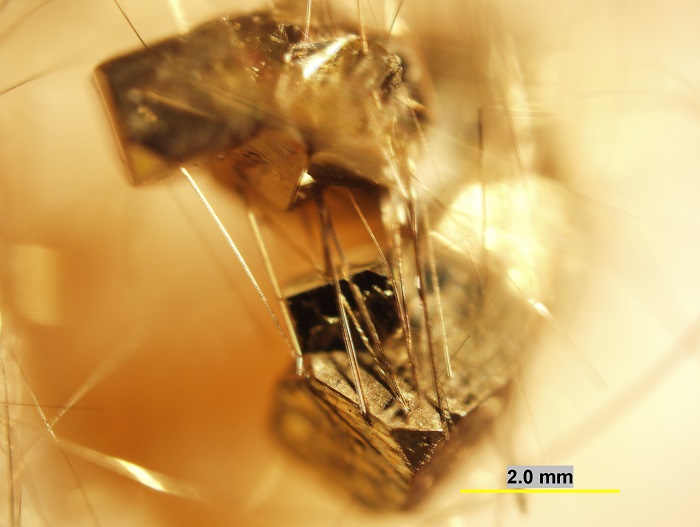 Microscope photo of millerite crystals intersecting a large group of pyrite crystals.