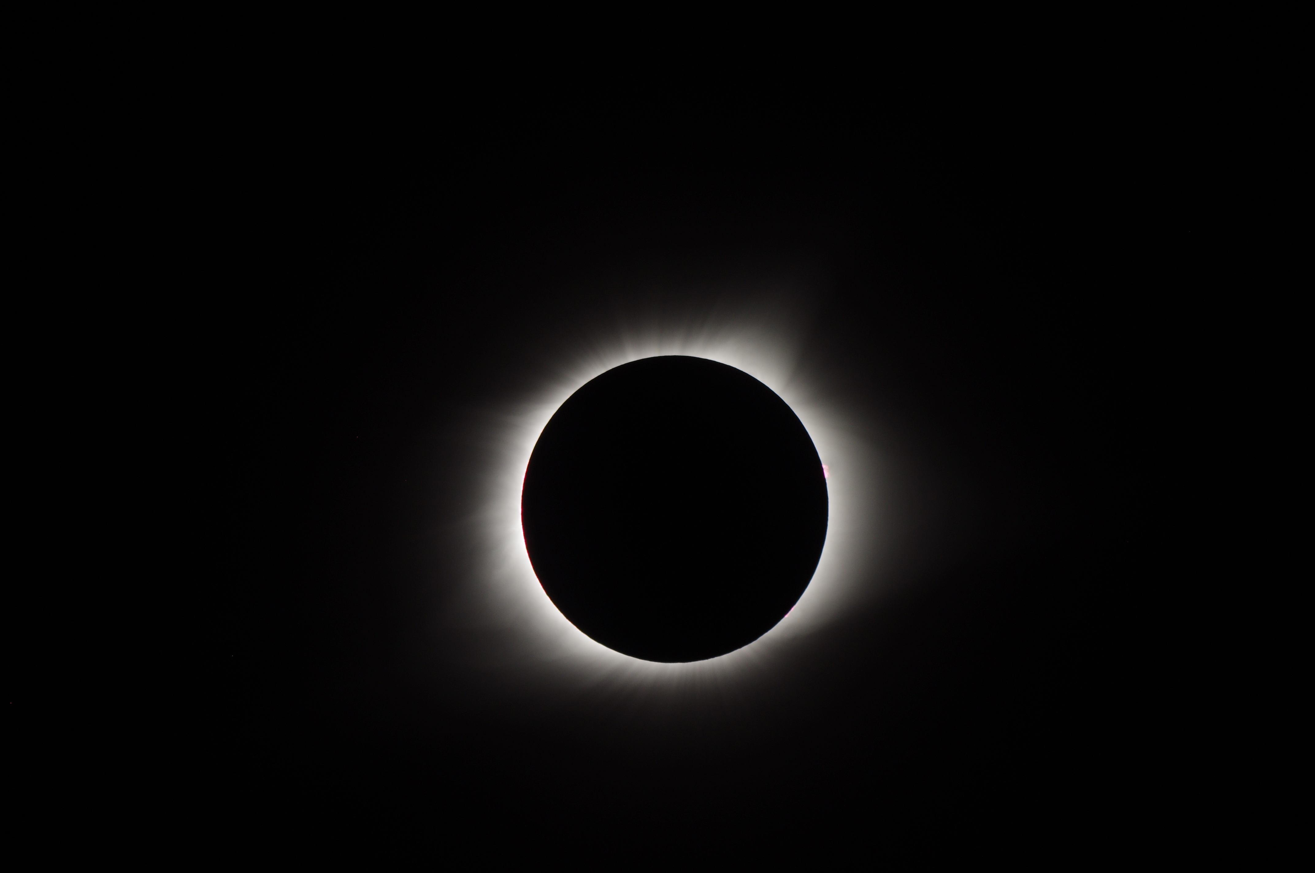 The totally eclipsed sun on August 21 shows red prominences on the right side of the sun