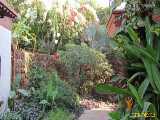 Click to see IMG_0025c.jpg