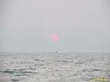 Click to see IMG_0142c.jpg