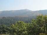 Click to see IMG_0157c.jpg