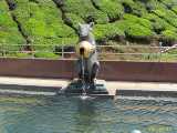 Click to see IMG_0181c.jpg