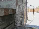 Click to see IMG_0287_lznc.jpg