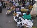 Click to see IMG_0314c.jpg