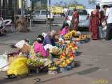 Click to see IMG_0340c.jpg