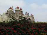 Click to see IMG_0359c.jpg