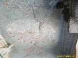 Click to see IMG_0439c.jpg