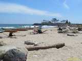 Click to see IMG_0449c.jpg