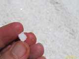 Click to see IMG_0467c.jpg