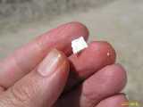 Click to see IMG_0469c.jpg