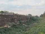 Click to see IMG_0544_lznc.jpg