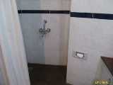 Click to see IMG_0700c.jpg