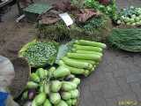 Click to see IMG_1041c.jpg