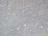 Click to see IMG_1081c.jpg
