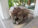 Click to see IMG_1133c.jpg