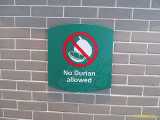 Click to see IMG_1148c.jpg