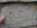 Click to see IMG_1155c.jpg