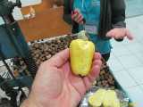 Click to see IMG_1187c.jpg