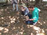 Click to see IMG_1249c.jpg