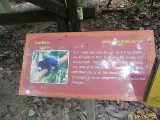 Click to see IMG_1366c.jpg