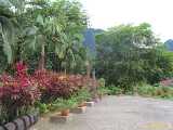 Click to see IMG_1383c.jpg