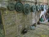 Click to see IMG_1407_lznc.jpg