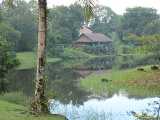 Click to see IMG_1457c.jpg